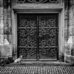 Hund vor Kirchentür